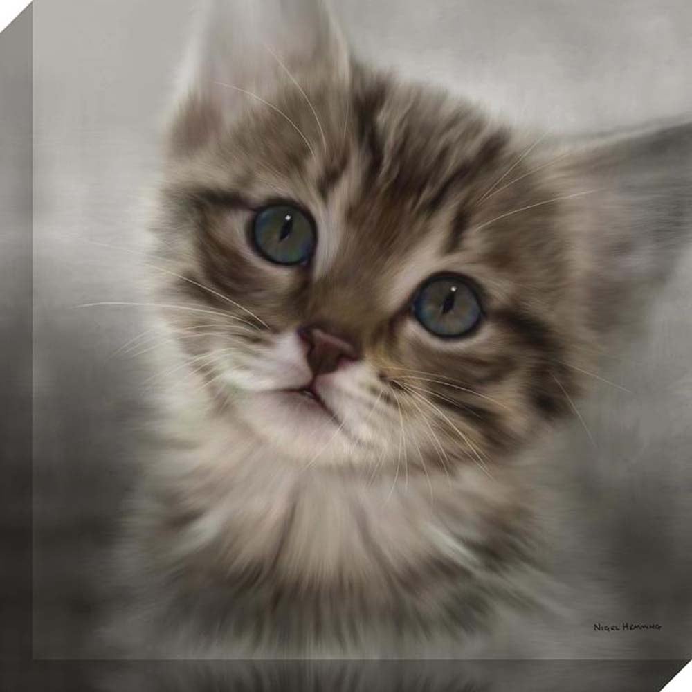 Tabby Kitten - Canvas