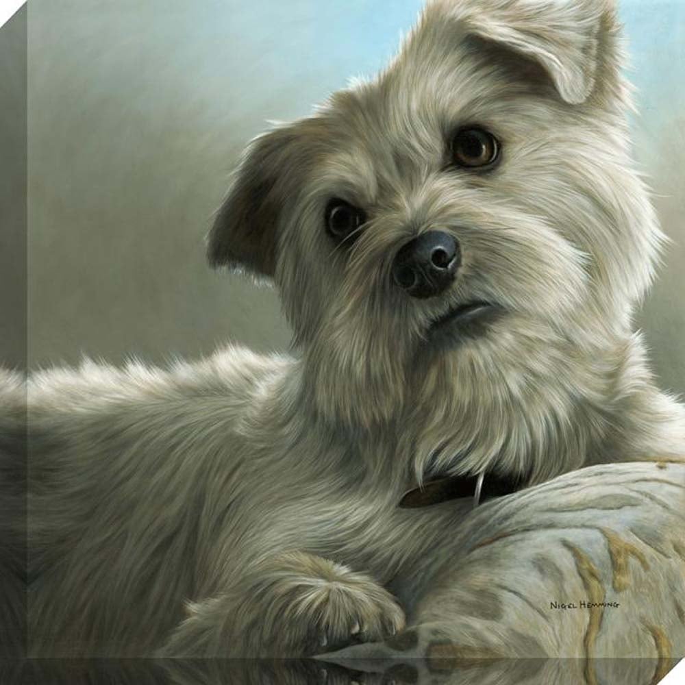Westie - Canvas Picture