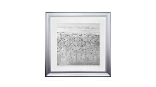 White on Silver S Picture